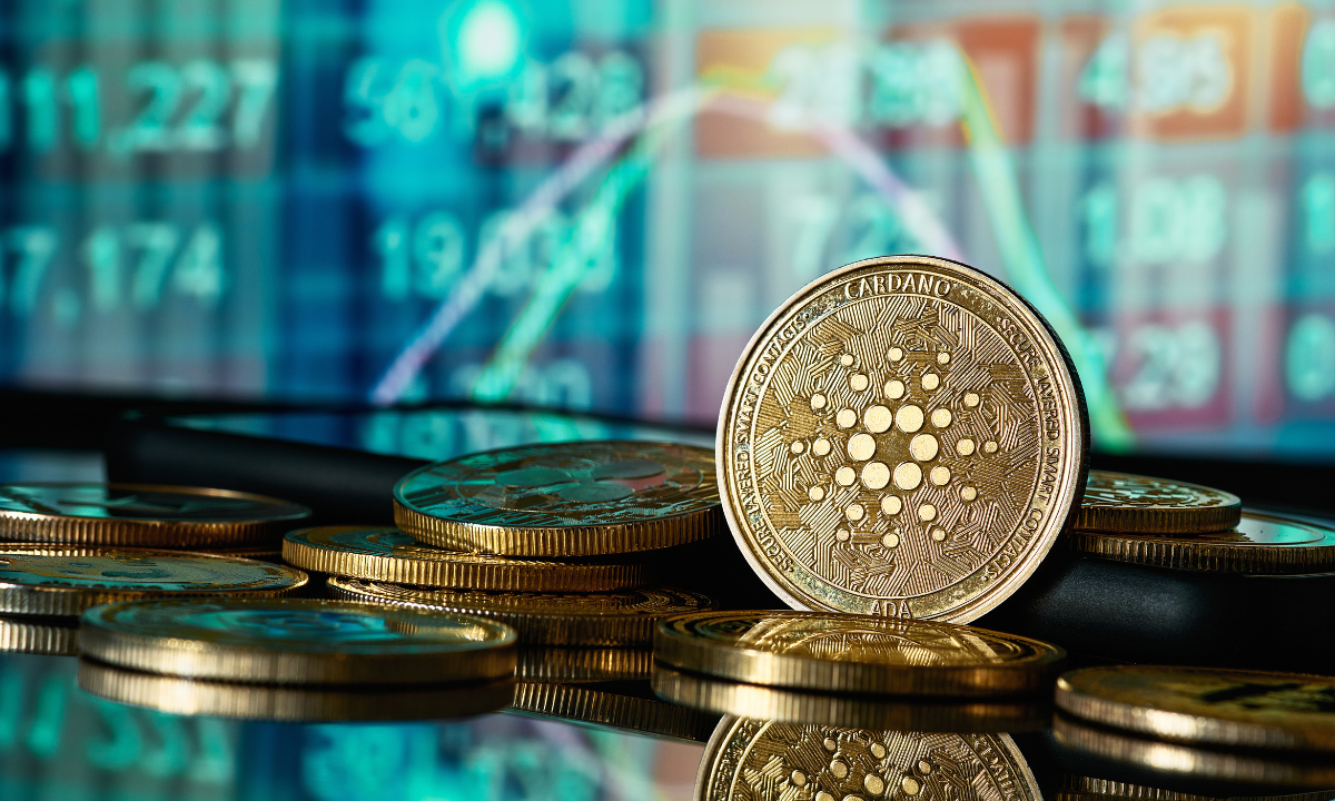 Cardano Pode Cair Mais 80% e Ser a “Rede Mais Inútil”, Diz Analista