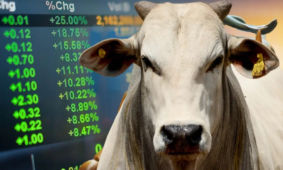 Futuros de bovinos do CME avançam com suporte do mercado físico