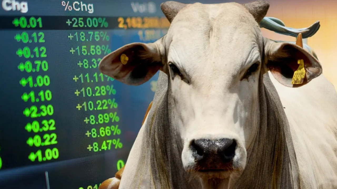  Futuros de bovinos do CME avançam com suporte do mercado físico
